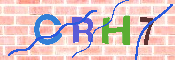 CAPTCHA Bild